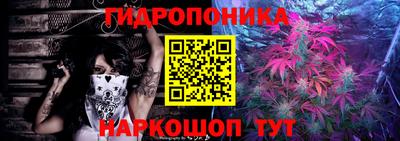 гидра Аргун