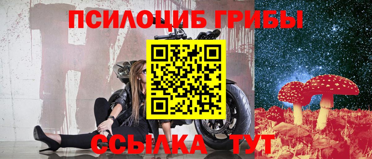 Великий Новгород  где купить наркоту  Галлюциногенные грибы MAGIC MUSHROOMS  Вход с VPN  Галлюциногенные грибы Cubensis 